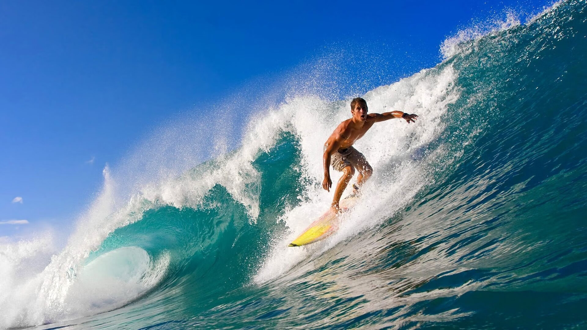 开云网页版-“萨尔·巴赫的背后故事：从草根到南非橄榄球明星”