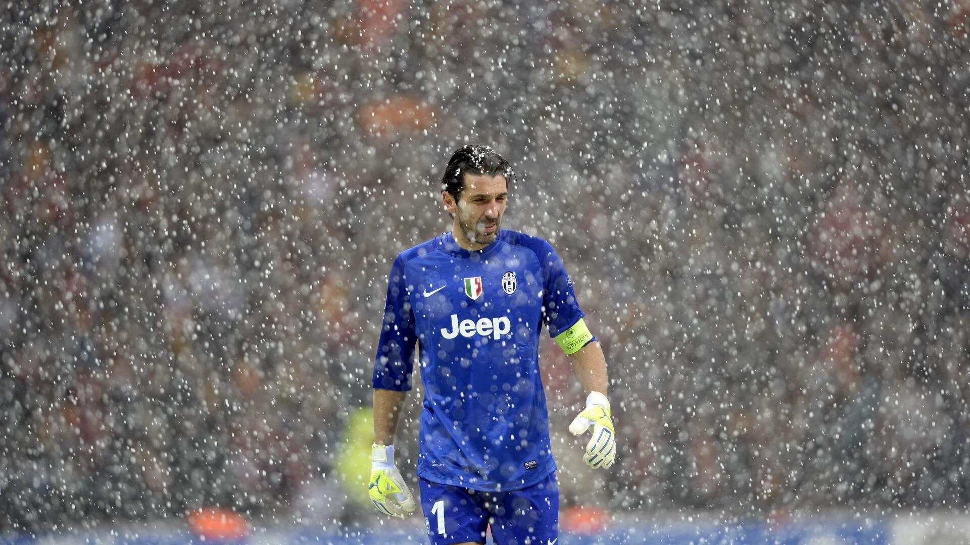 Kaiyun APP-“美洲狮队在橄榄球冠军锦标赛展现强大韧性”