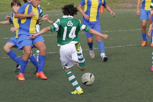 开云官方网页登录-上海申花再遭柔佛新山逆转，1-3失利痛失连胜机会